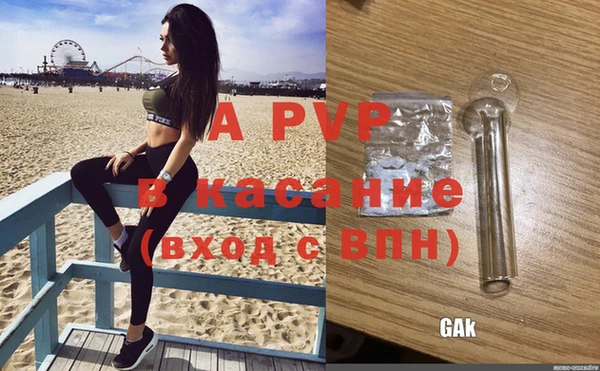 молекула духа Приозерск